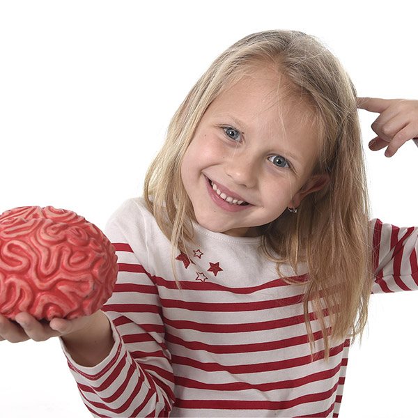 A young girl holds a model of a brain while pointing to her own head.